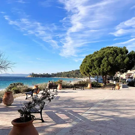 Appt Climatise 3 Pieces - 6 Pers - Terrasse, Parking A 200m De La - Fr-1-251-845 Le Lavandou
